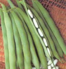 FAGIOLO CANNELLINO GR.500